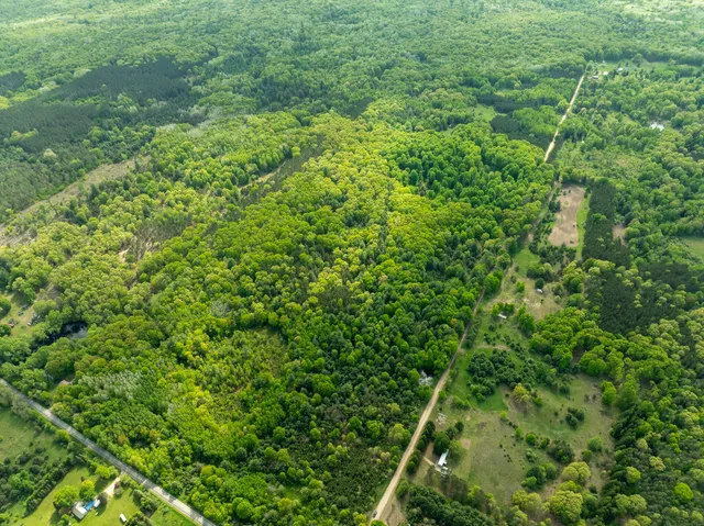 $425,000 | V/l South Deer Lake Road, Reed City, MI 49677