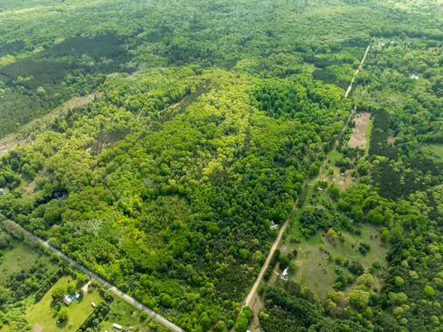 $425,000 | V/l South Deer Lake Road, Reed City, MI 49677