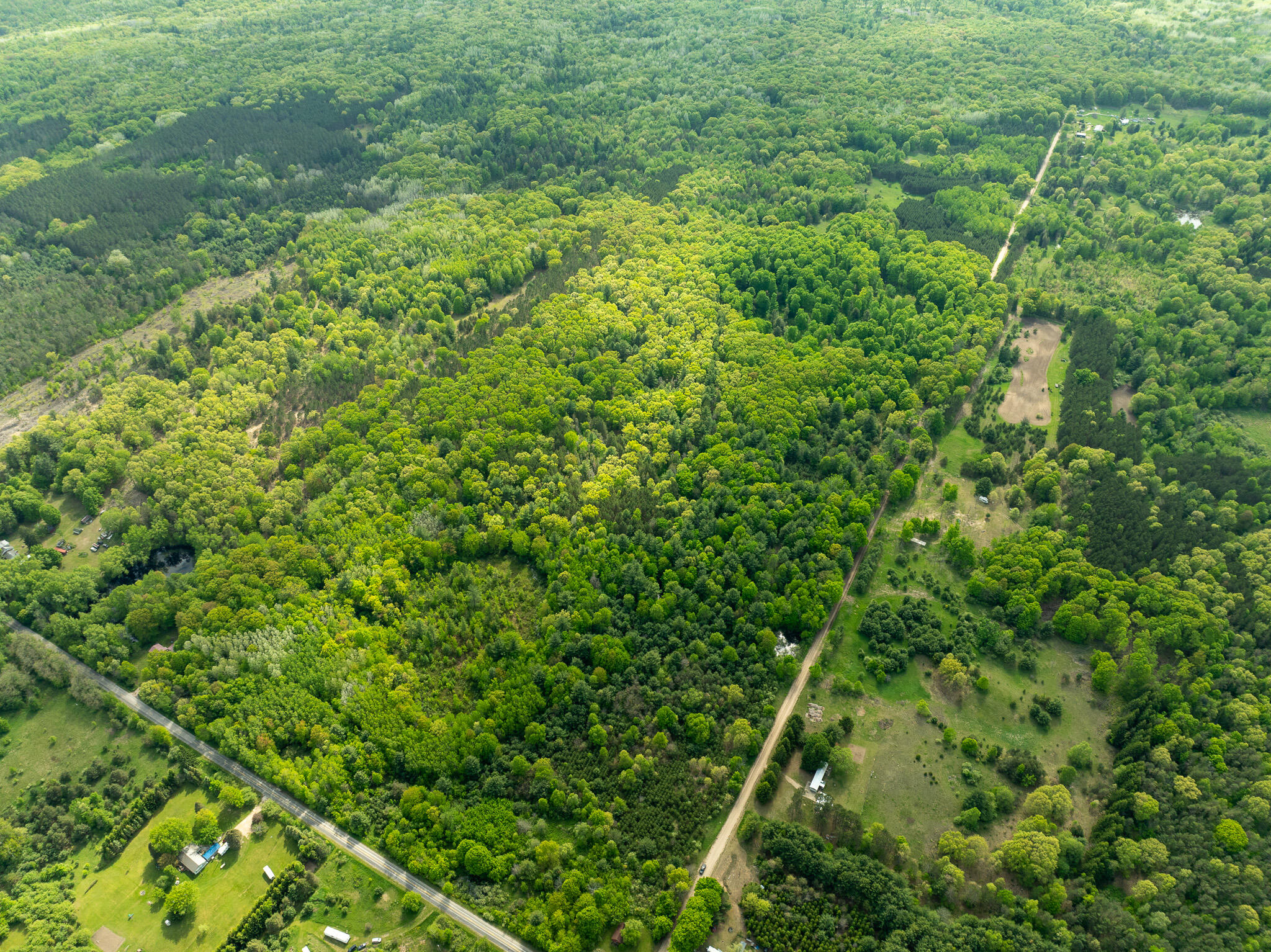 V/l South Deer Lake Road Reed City, MI 49677 - Photo 4 of 10 DJI_0874