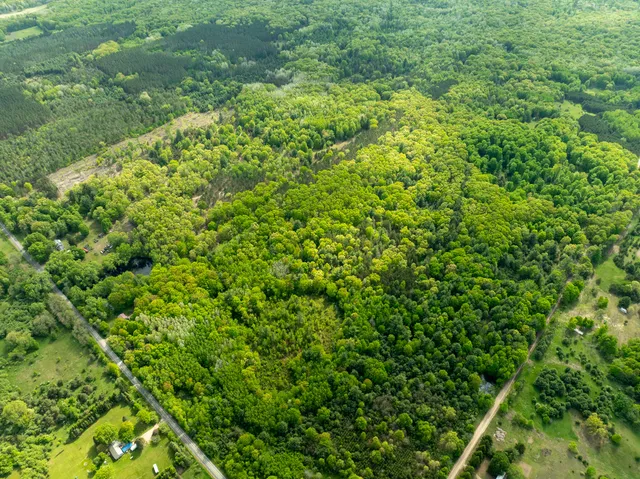 $425,000 | V/l South Deer Lake Road, Reed City, MI 49677