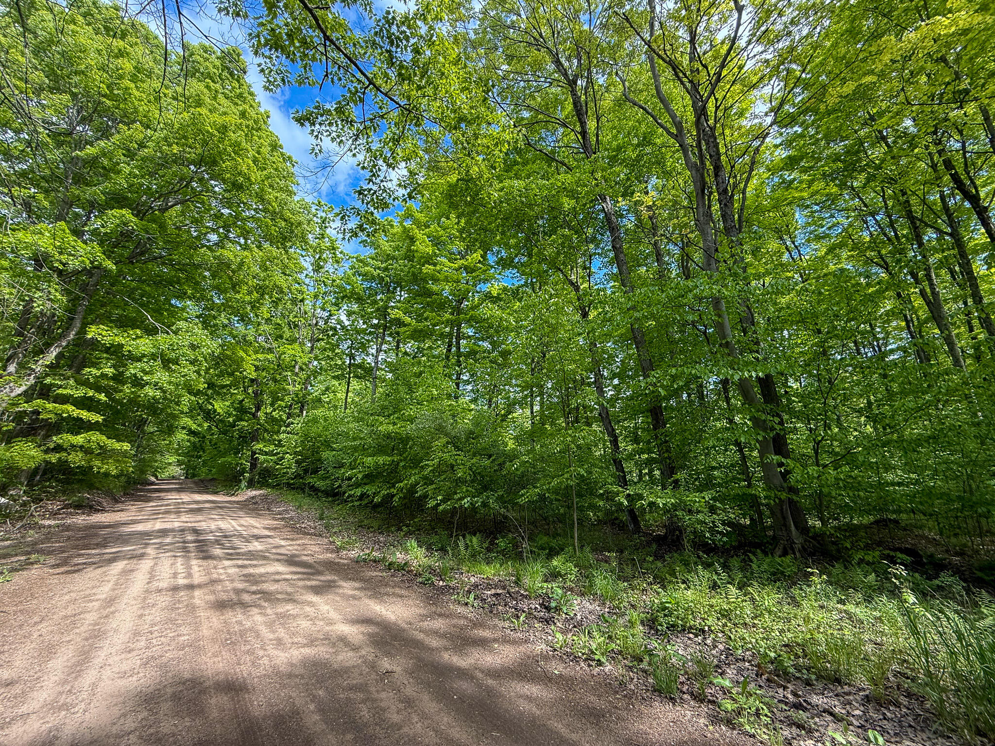 V/l South Deer Lake Road Reed City, MI 49677 - Photo 9 of 10 IMG_4088