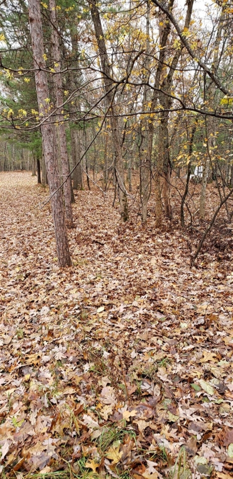 5 5 Mile Road Free Soil, MI 49411 - Photo 1 of 5