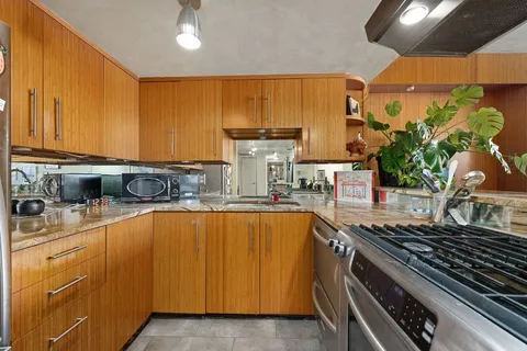 a living room with furniture a rug and a potted plant