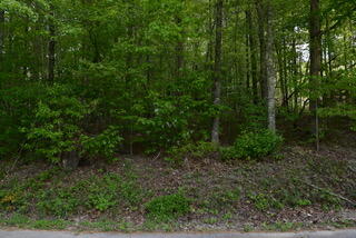 335 Branham Hollow Road Ten Mile, TN 37880 - Photo 3 of 18 DSC_0884