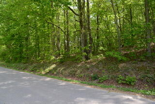 335 Branham Hollow Road Ten Mile, TN 37880 - Photo 4 of 18 DSC_0885