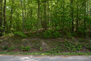 335 Branham Hollow Road Ten Mile, TN 37880 - Photo 5 of 18 DSC_0886