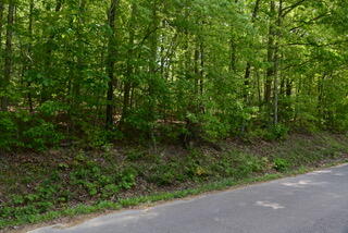 335 Branham Hollow Road Ten Mile, TN 37880 - Photo 6 of 18 DSC_0887