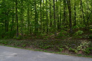 335 Branham Hollow Road Ten Mile, TN 37880 - Photo 8 of 18 DSC_0889