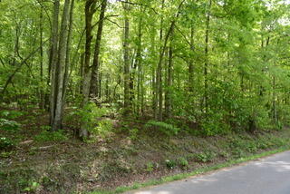 335 Branham Hollow Road Ten Mile, TN 37880 - Photo 9 of 18 DSC_0890