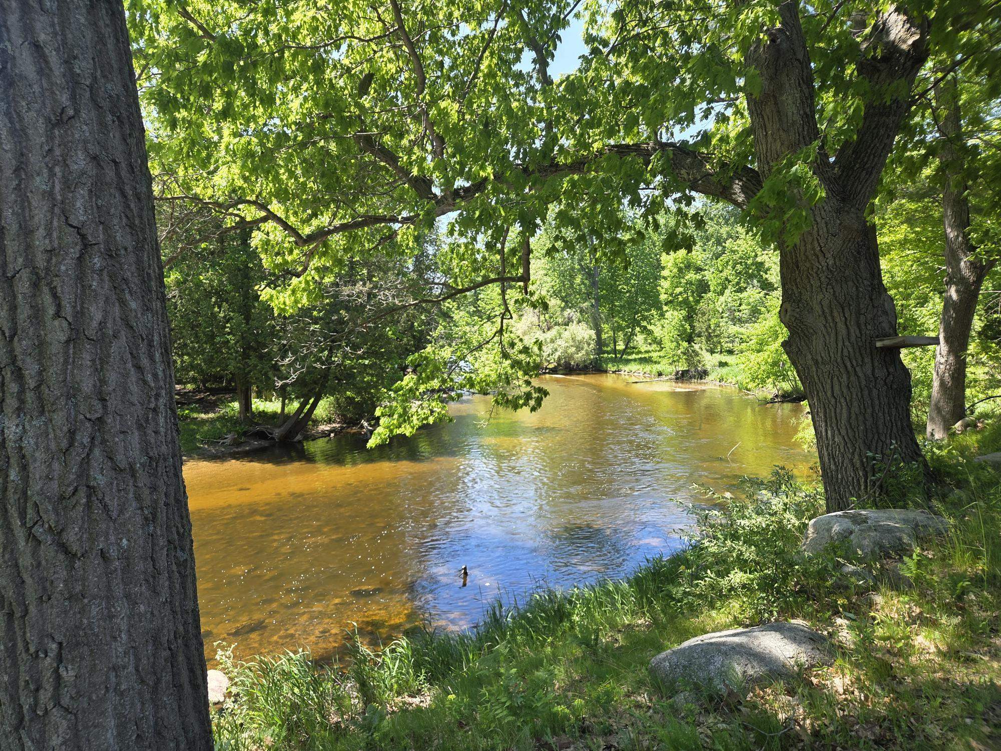 5172 West Pickard Road Mount Pleasant, MI 48858 - Photo 2 of 23