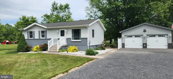 a view of a yard in front of a house with plants and large tree