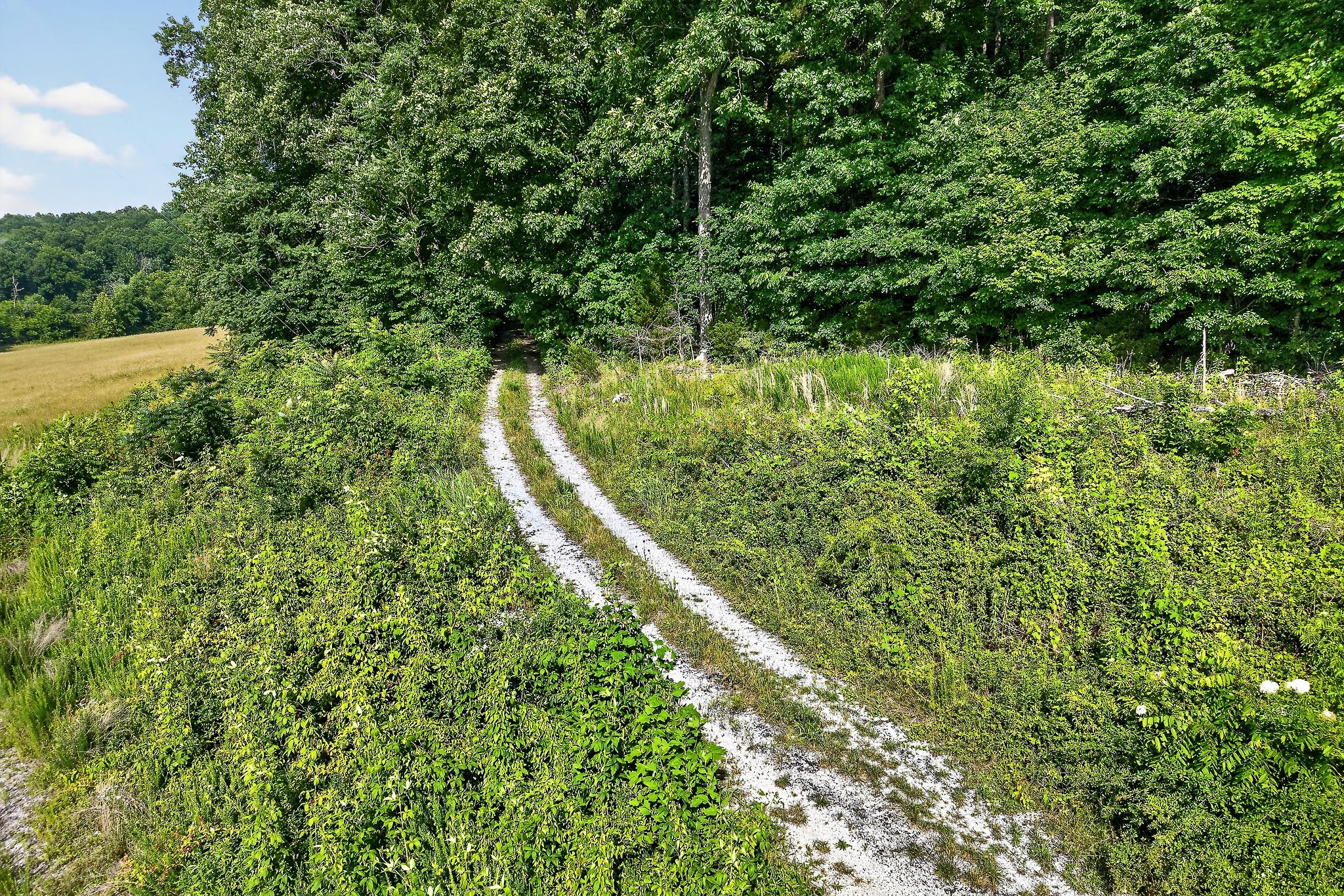 0 Moore Cove Road Sparta, TN 38583 - Photo 17 of 19