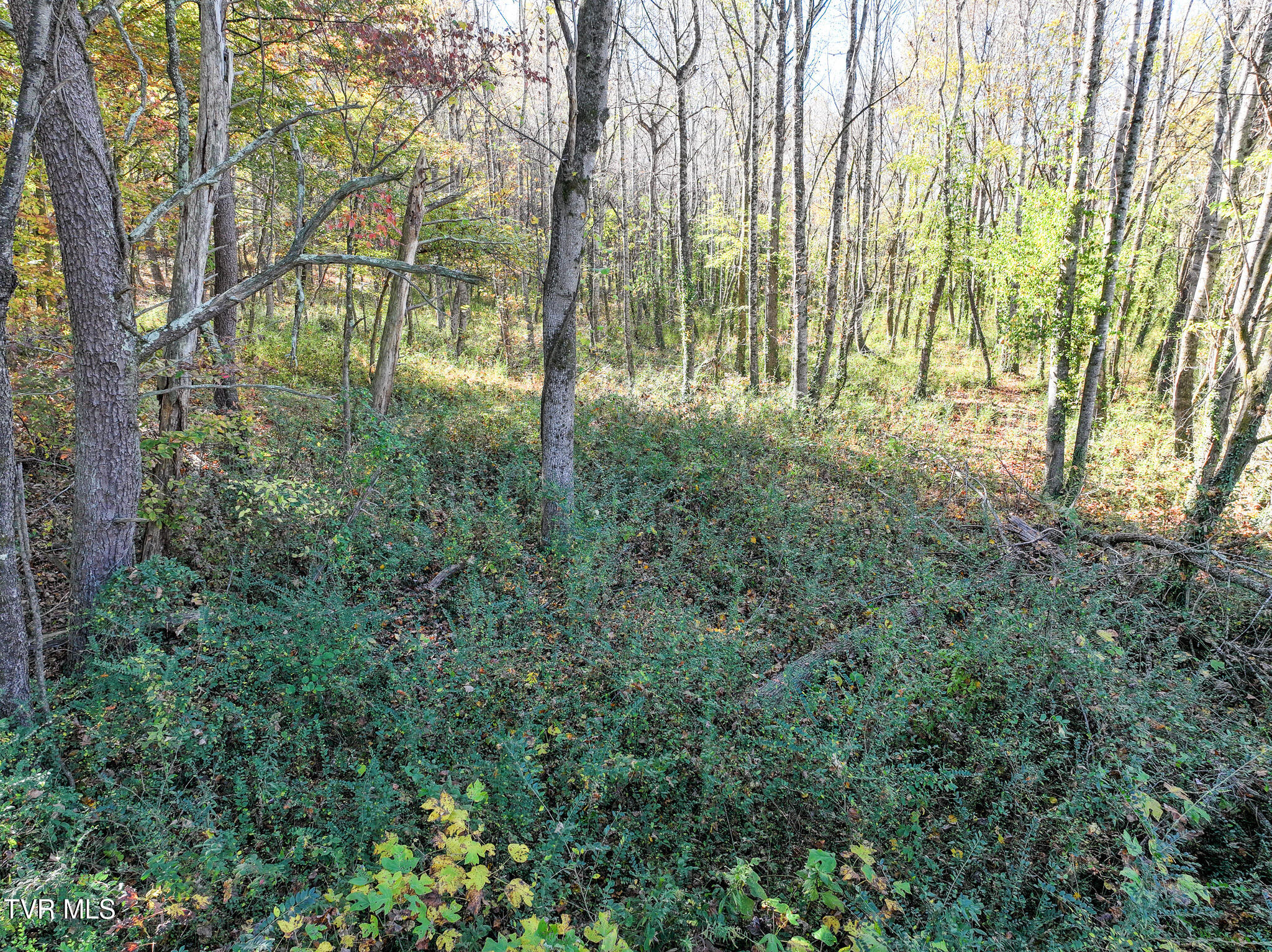 Tbd Lot 4 Tbd Road, Unit 4 Greeneville, TN 37743 - Photo 19 of 22 DJI_20241031013030_0456_D
