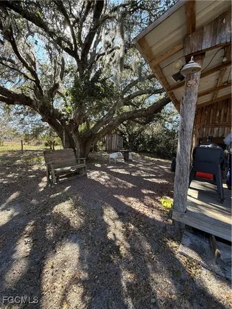 a view of a yard with trees