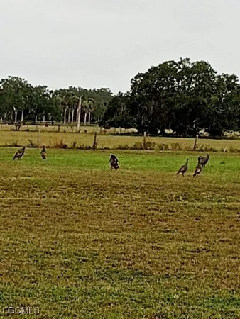 a view of an entryway door