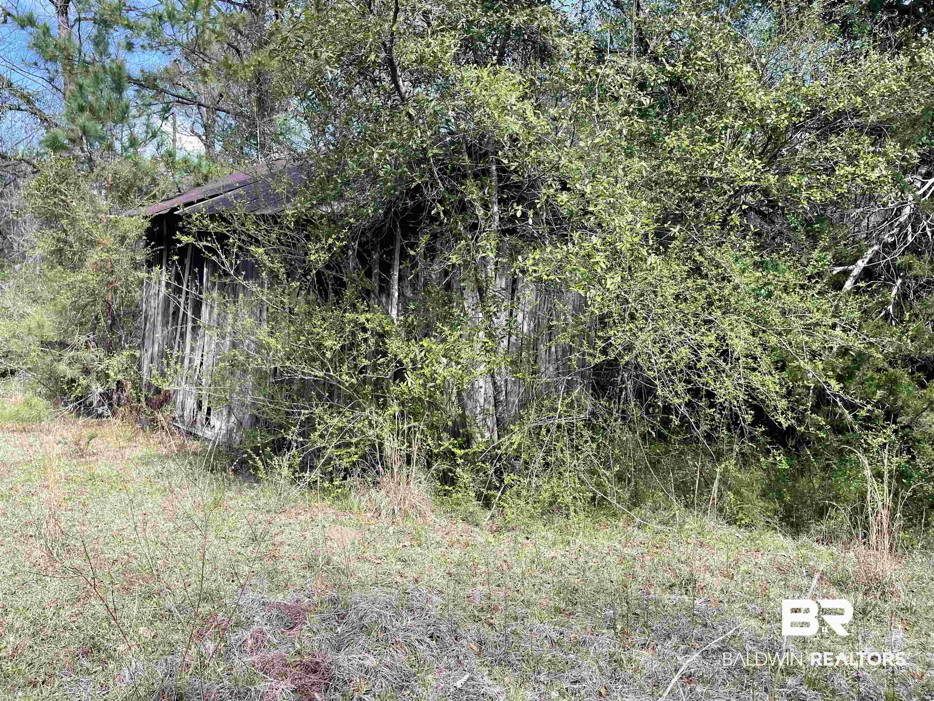 1922 Highway 31 Castleberry, AL 36432 - Photo 19 of 22 Gallery Image 19