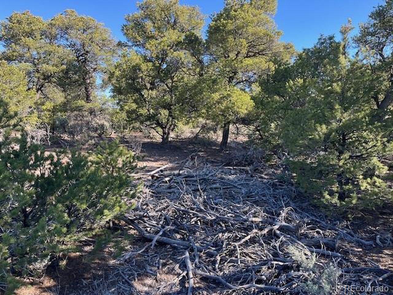 4 Elk Park Road San Luis, CO 81152 - Photo 12 of 30