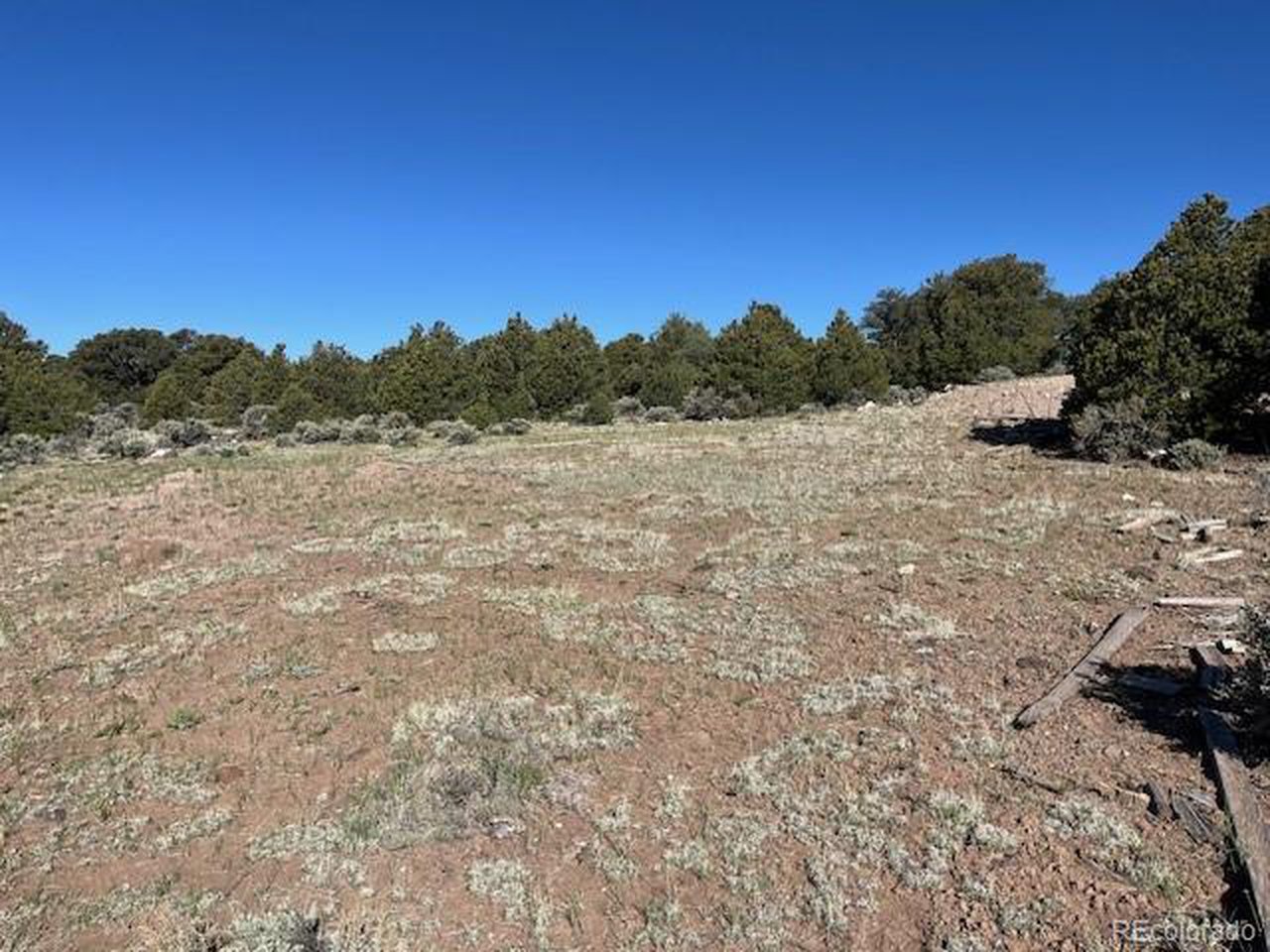 4 Elk Park Road San Luis, CO 81152 - Photo 7 of 30 Large cleared area along 4X4 trail.