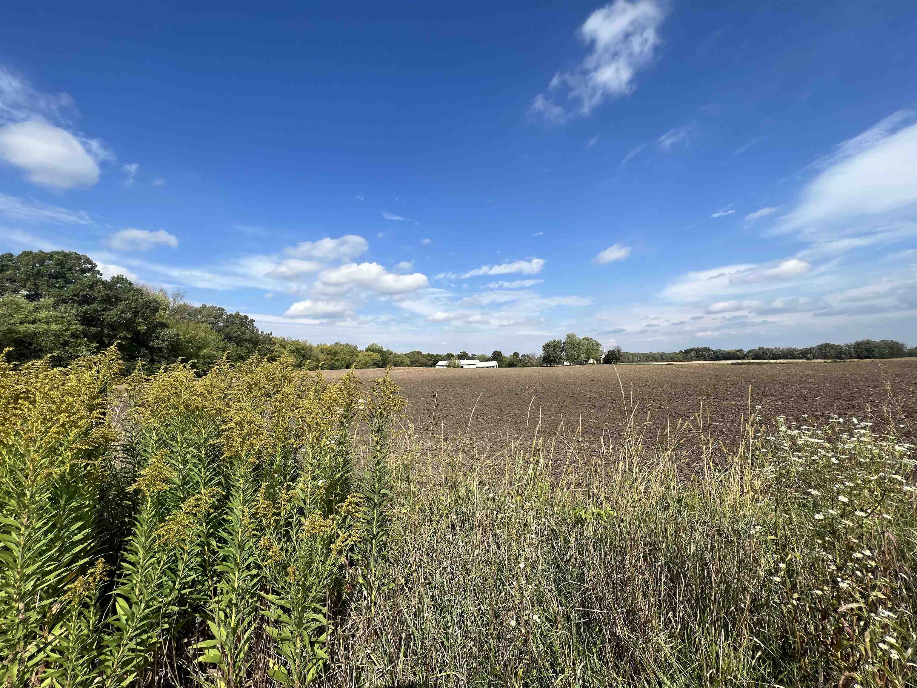 15650 Happy Valley Sun Prairie, WI 53590 - Photo 3 of 3
