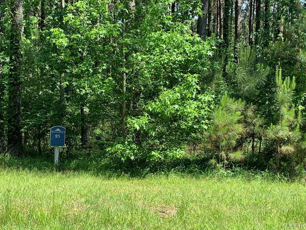 408 Riversound Drive Edenton, NC 27932 - Photo 4 of 10 Beautiful Lot