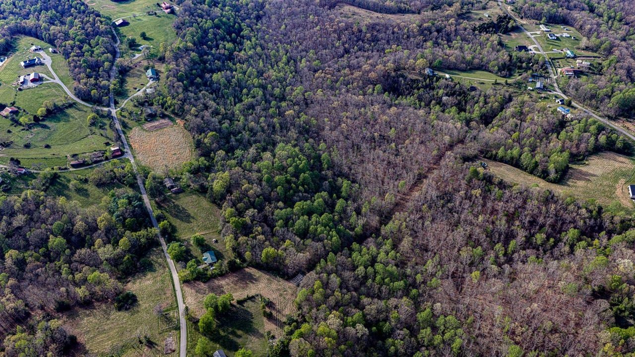 0 Cedar Grove Church Road Bee Spring, KY 42207 - Photo 9 of 9 Gallery Image 9