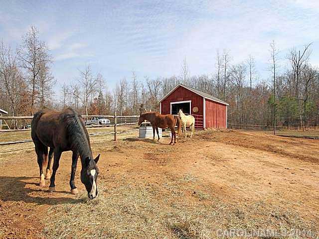 429 Roy Eaker Road Cherryville, NC 28021 - Photo 12 of 16