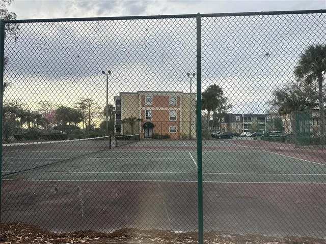 a big yard with trees