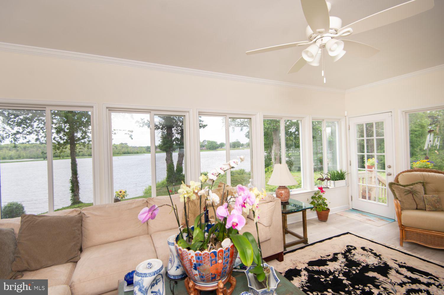 25129 Adams Landing Road Denton, MD 21629 - Photo 24 of 88 Sunroom! Marvelous wide views of River!