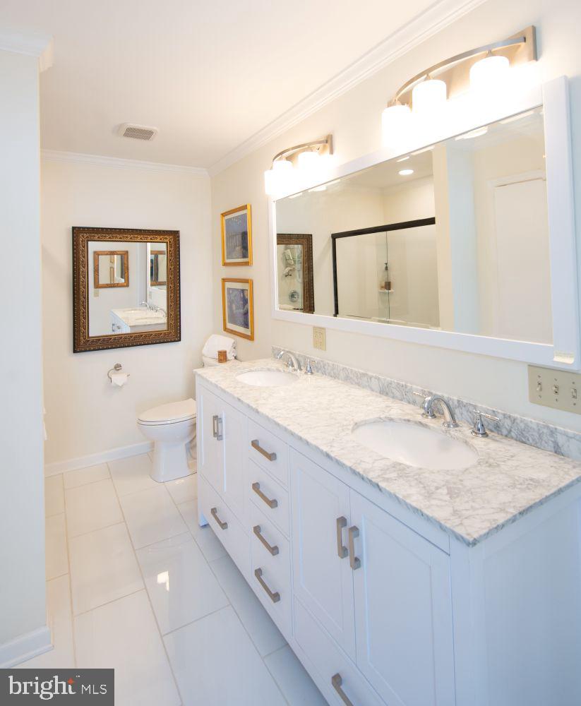25129 Adams Landing Road Denton, MD 21629 - Photo 42 of 88 Primary Bathroom with Walk In Shower to left!