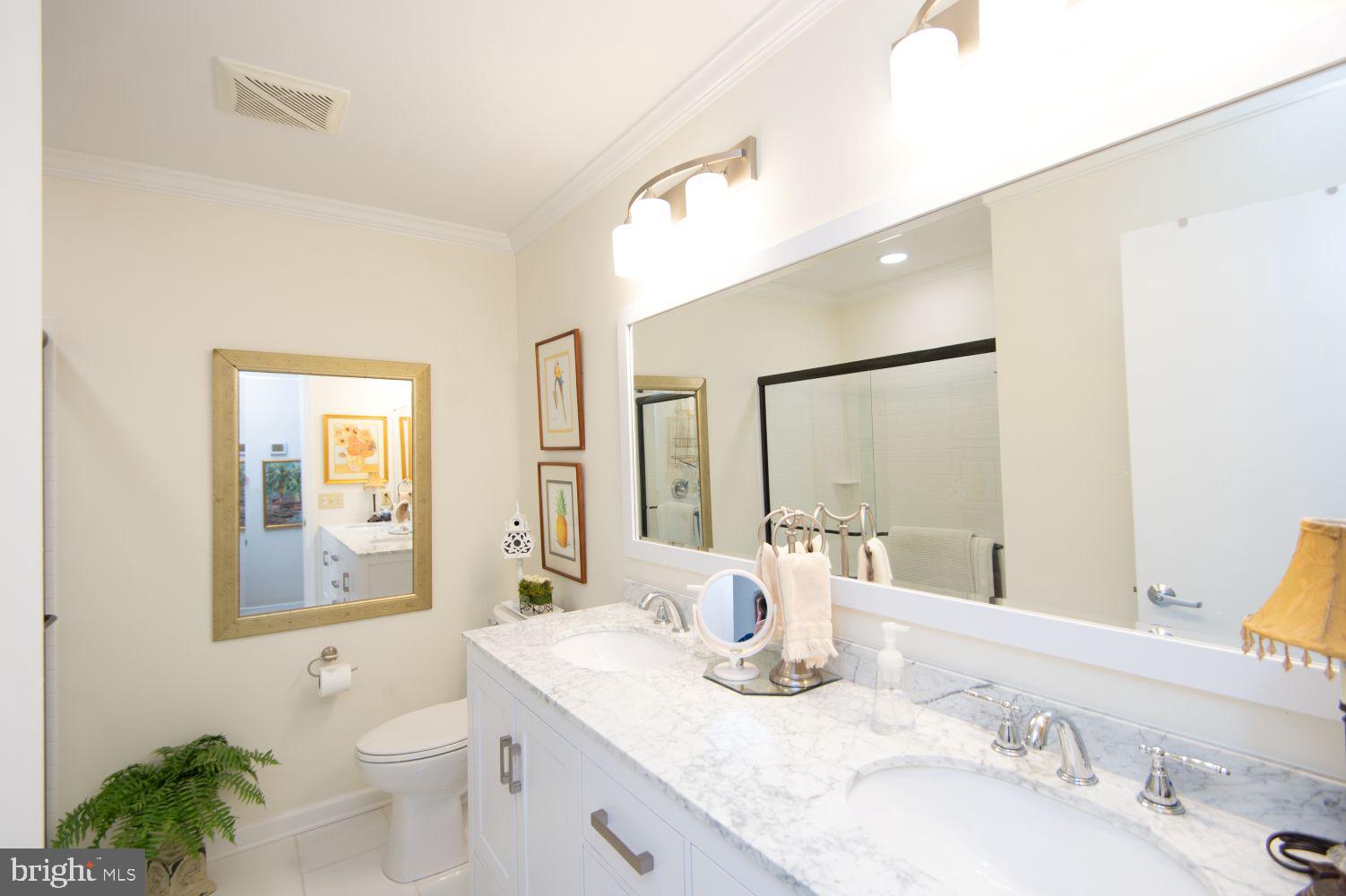 25129 Adams Landing Road Denton, MD 21629 - Photo 50 of 88 Lovely New Guest Bathroom with Walk in Shower!