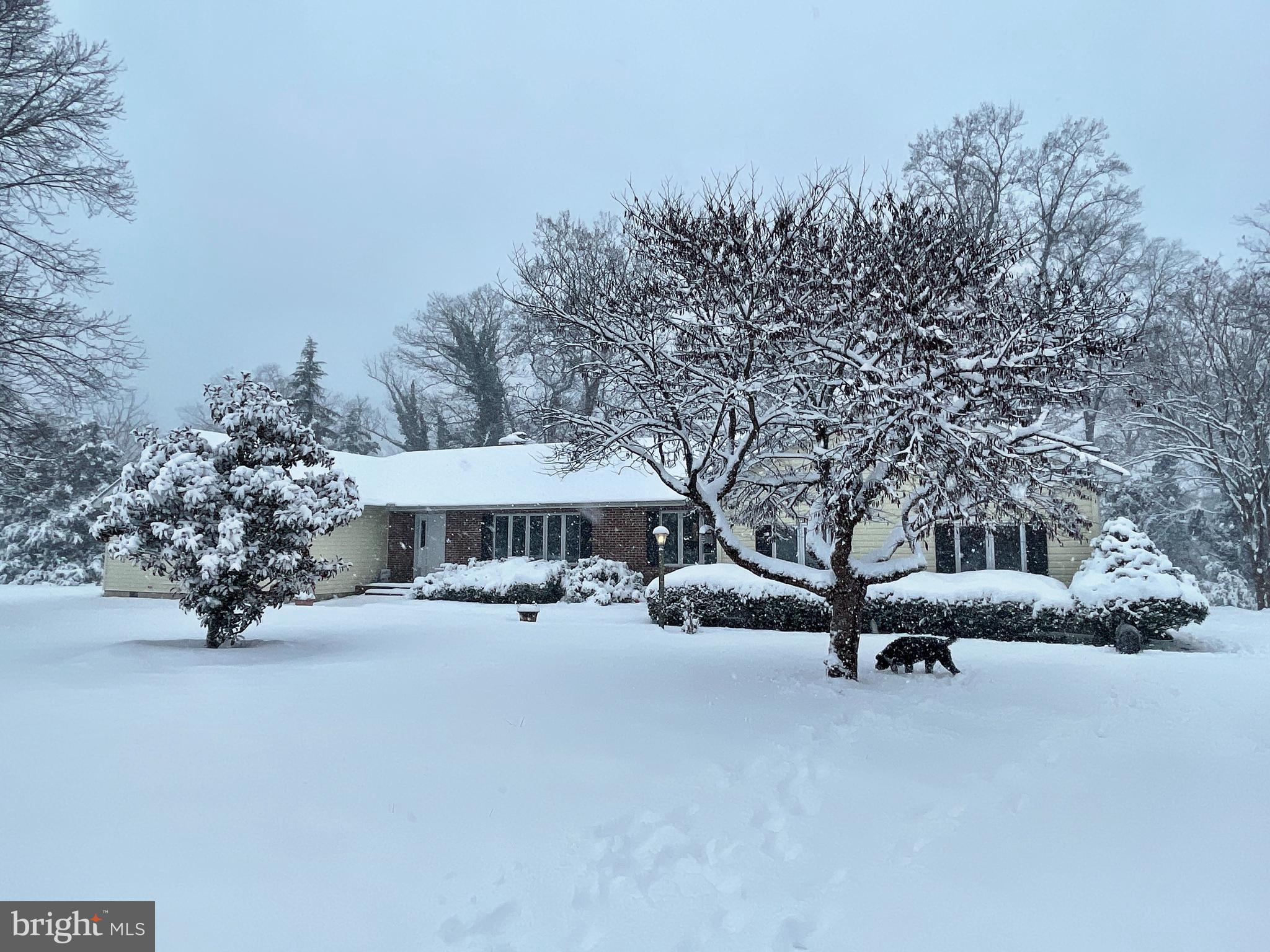 25129 Adams Landing Road Denton, MD 21629 - Photo 74 of 88 Winter Wonderland!
