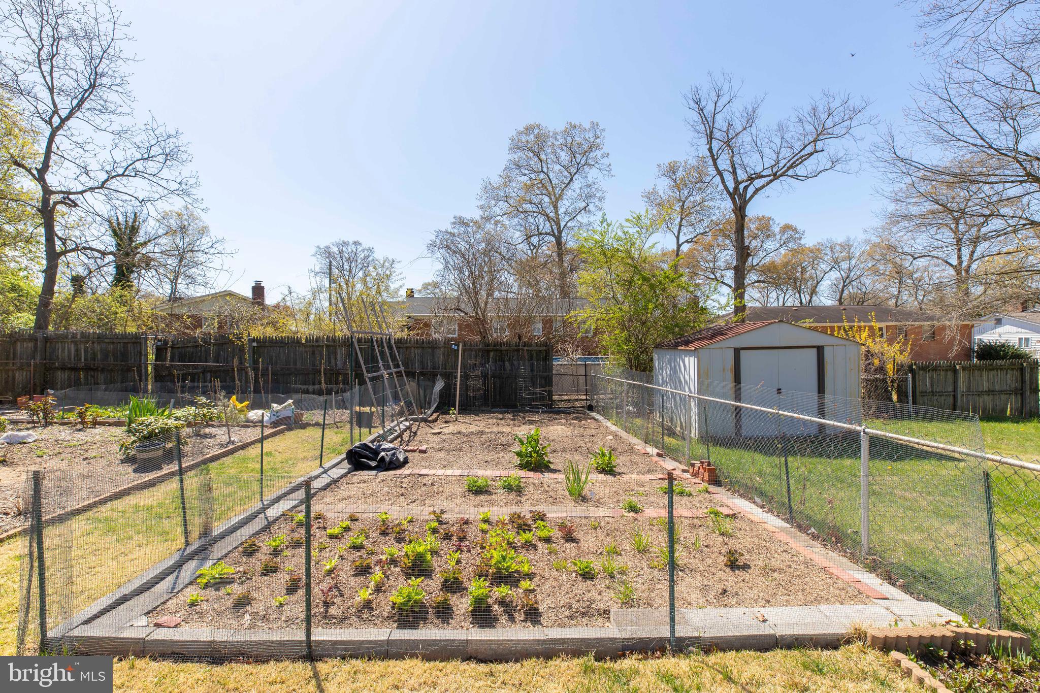 5705 Spruce Drive Clinton, MD 20735 - Photo 48 of 53 VEGETABLE GARDEN IN BACK YARD