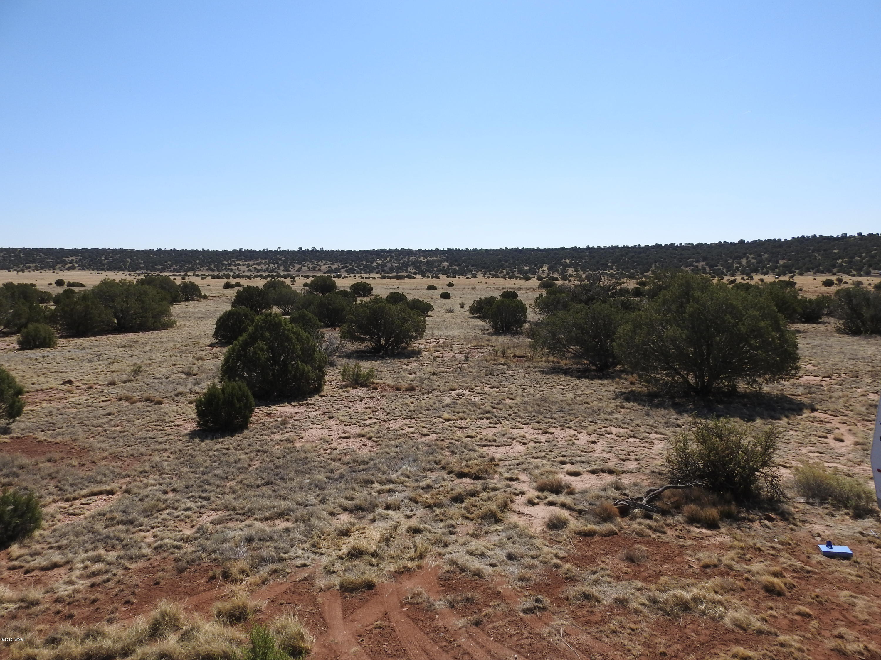 Lot 141 Pine Ridge Ranch Concho, AZ 85924 - Photo 3 of 11