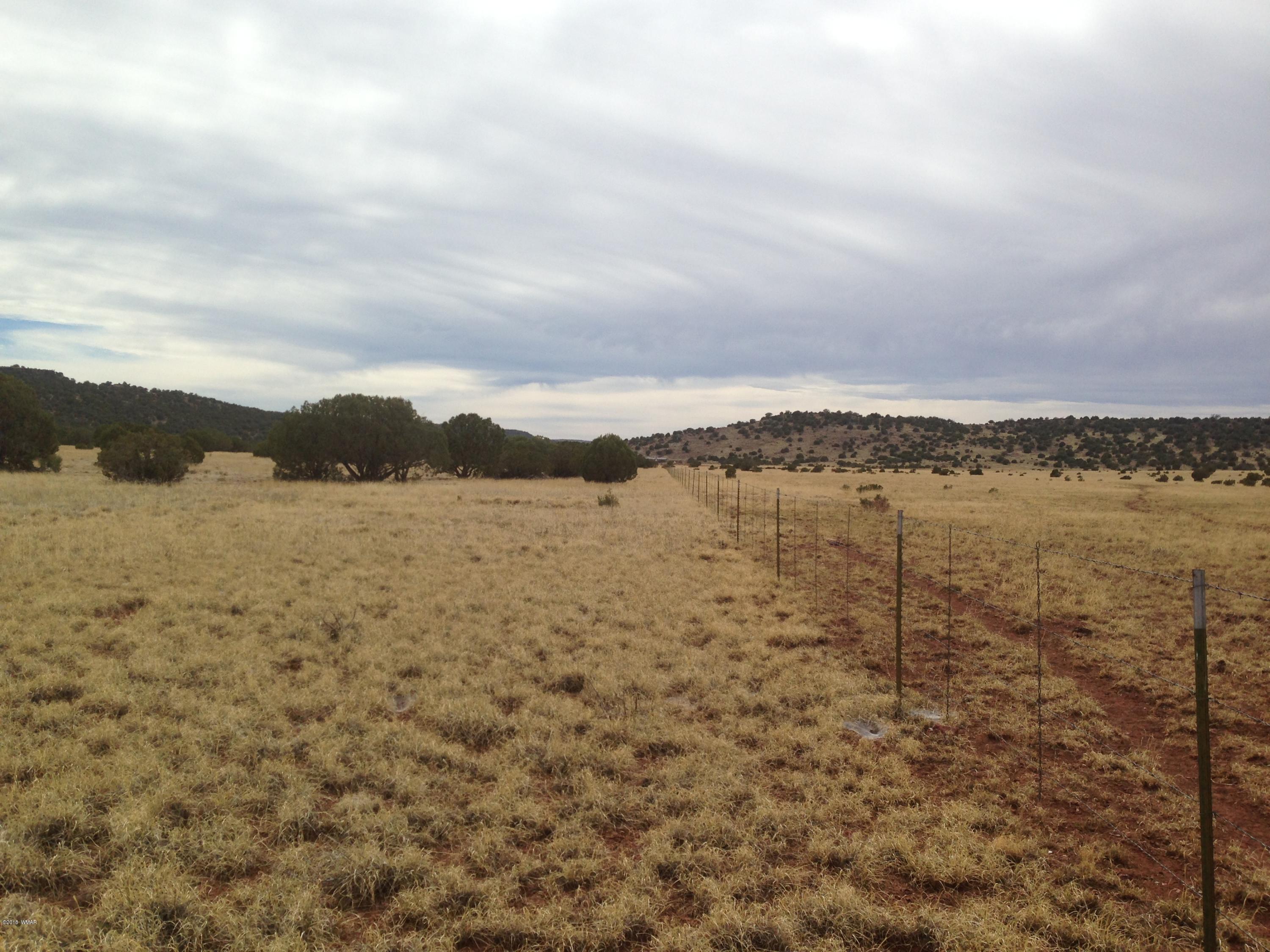Lot 141 Pine Ridge Ranch Concho, AZ 85924 - Photo 5 of 11
