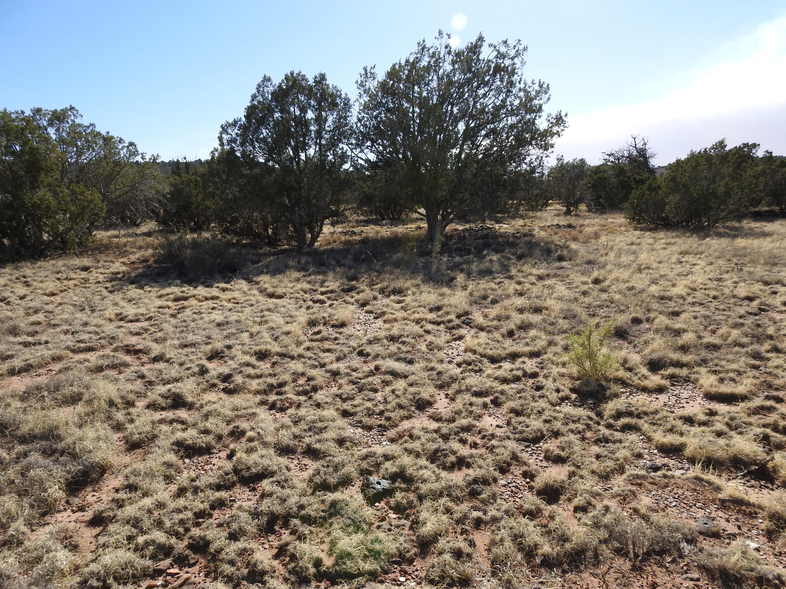 Lot 141 Pine Ridge Ranch Concho, AZ 85924 - Photo 7 of 11