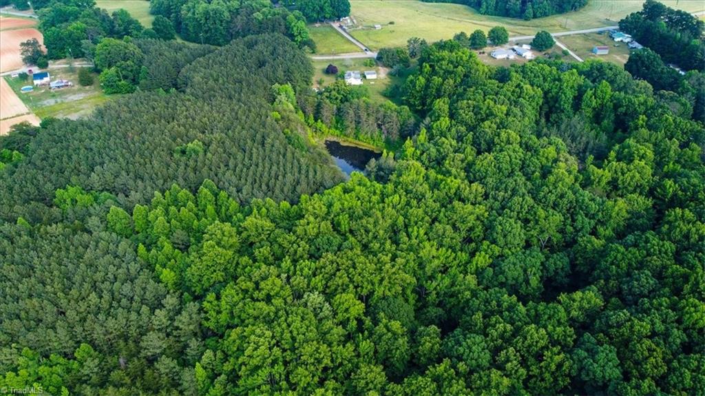 3207 Grooms Road Reidsville, NC 27320 - Photo 9 of 12 Gallery Image 9