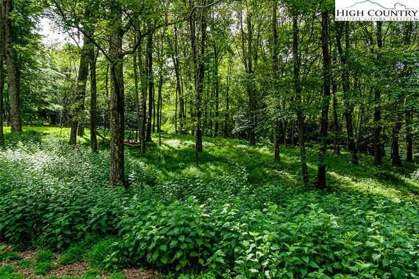 $45,000 | 4 K Oak Drive, Glade Valley, NC 28627