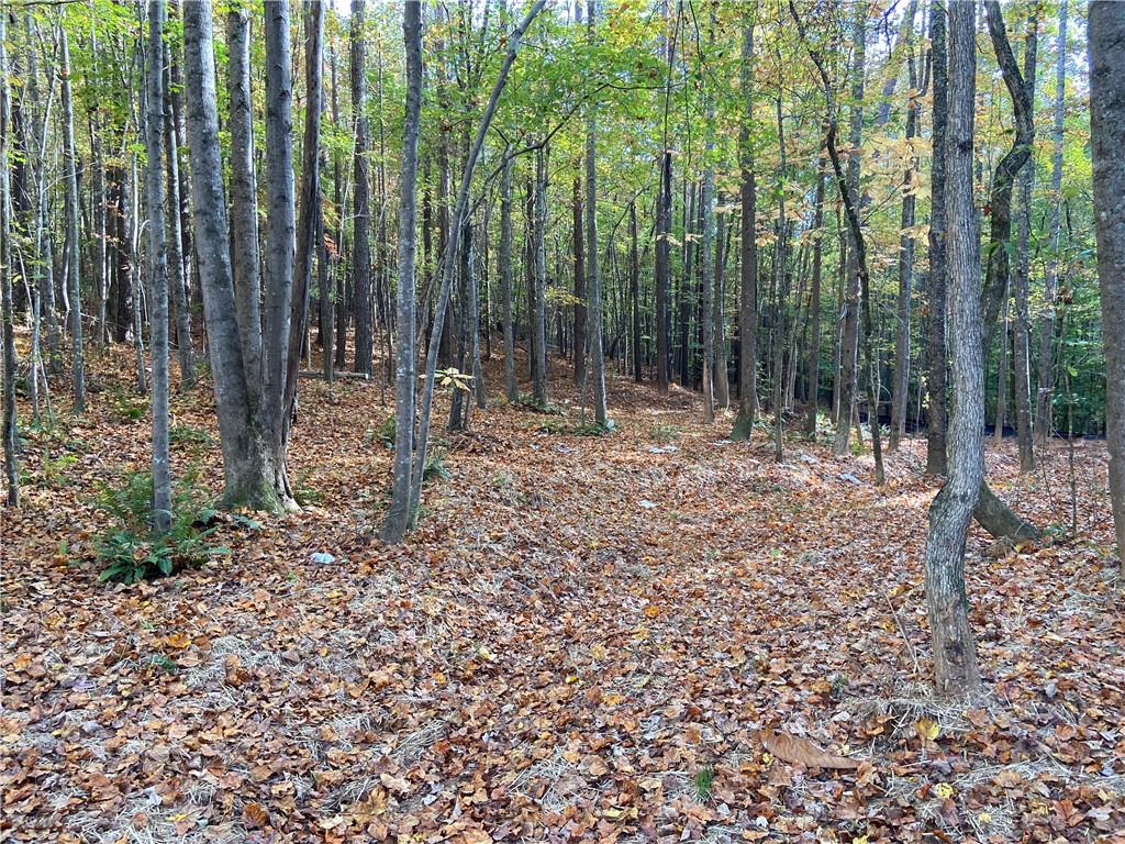 a view of outdoor space with lots of trees