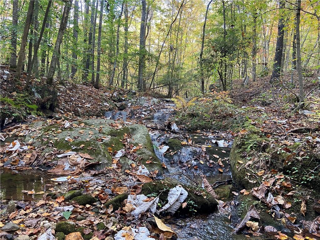 0 Lone Bear Path Dallas, GA 30132 - Photo 2 of 4 a view of a forest with trees