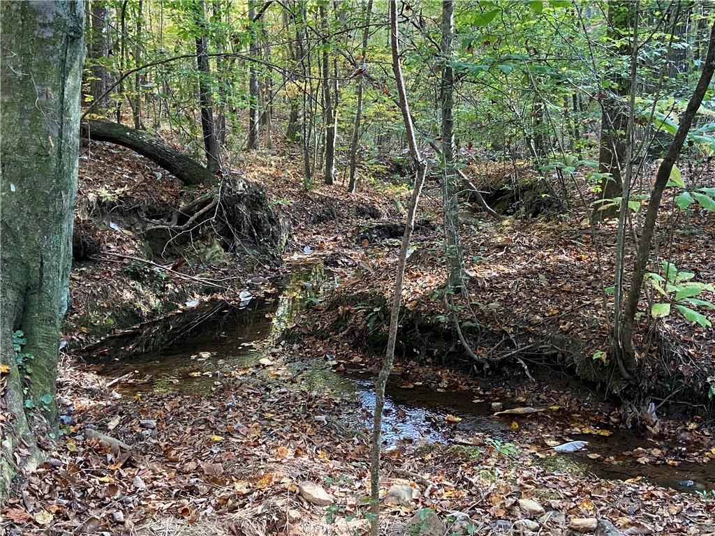 0 Lone Bear Path Dallas, GA 30132 - Photo 3 of 4 a backyard of a house with lots of green space