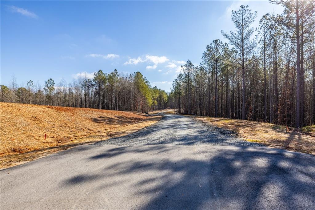 0 Lone Bear Path Dallas, GA 30132 - Photo 4 of 4 a view of a backyard of the house