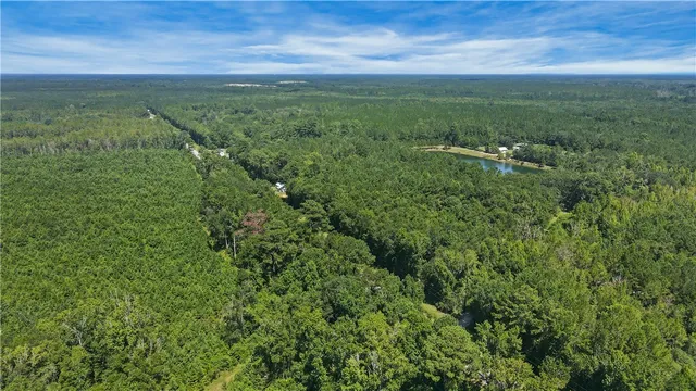 $20,000 | 1775 Churchill Road, Townsend, GA 31331