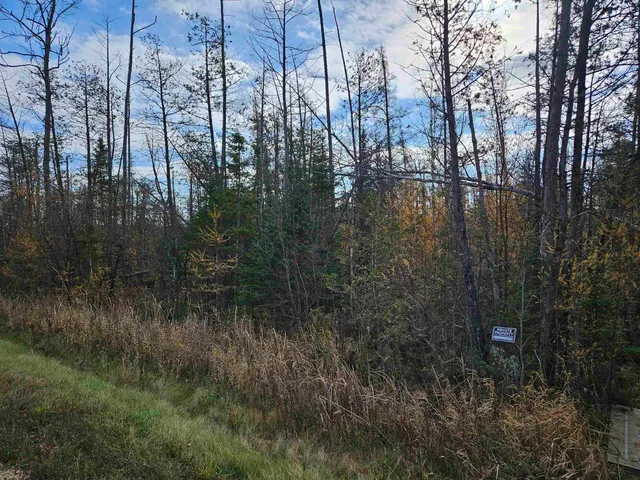 $24,400 | Hwy Pp Wittenberg Wi 54486, Wittenberg, WI 54499