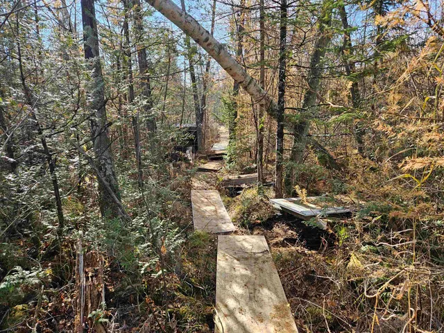 $24,400 | Hwy Pp Wittenberg Wi 54486, Wittenberg, WI 54499