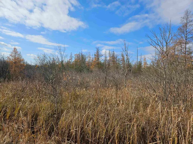 $24,400 | Hwy Pp Wittenberg Wi 54486, Wittenberg, WI 54499