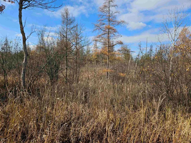 $24,400 | Hwy Pp Wittenberg Wi 54486, Wittenberg, WI 54499