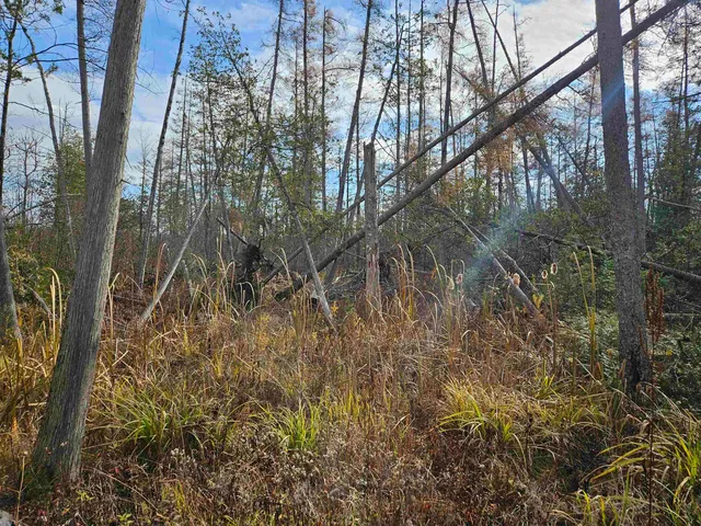 $24,400 | Hwy Pp Wittenberg Wi 54486, Wittenberg, WI 54499