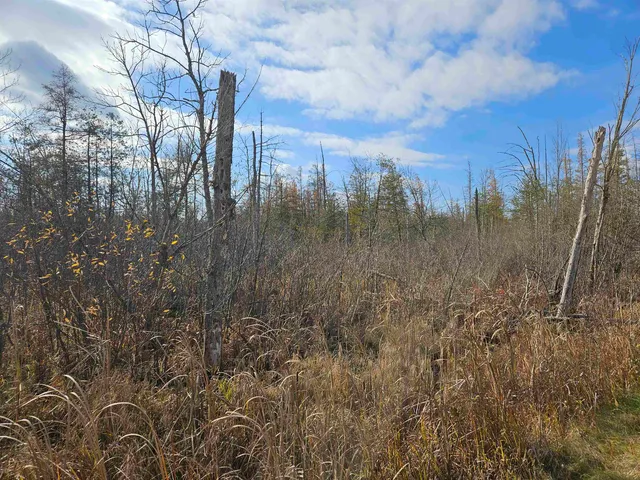 $24,400 | Hwy Pp Wittenberg Wi 54486, Wittenberg, WI 54499