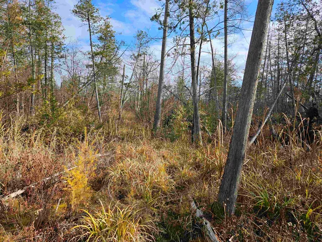 $24,400 | Hwy Pp Wittenberg Wi 54486, Wittenberg, WI 54499