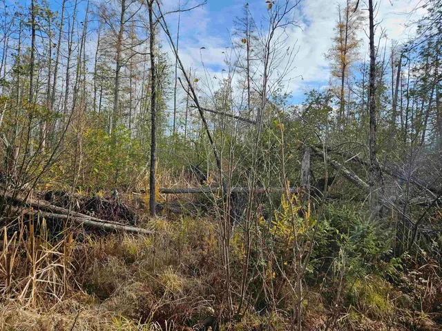 $24,400 | Hwy Pp Wittenberg Wi 54486, Wittenberg, WI 54499